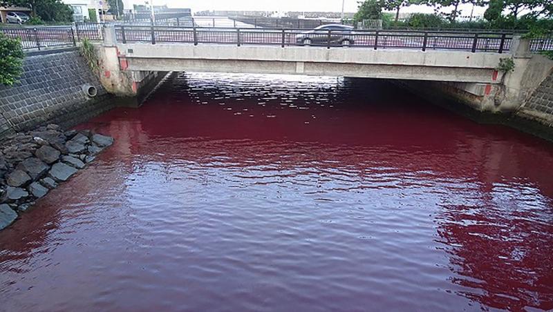 Un „râu sângeriu” i-a îngrijorat pe mai mulți localnici. Ce au transmis autoritățile