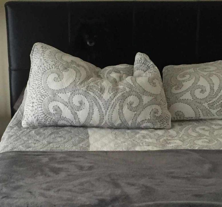 Iluzie optică! Găsește câinele ascuns în imagine, în câteva secunde. L-ai observat?
