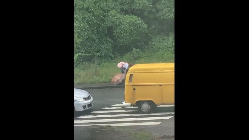 Imaginile care au înduioșat internetul. În drum spre casă, o fetiță a observat un cățel plouat și trist. Ce a făcut imediat