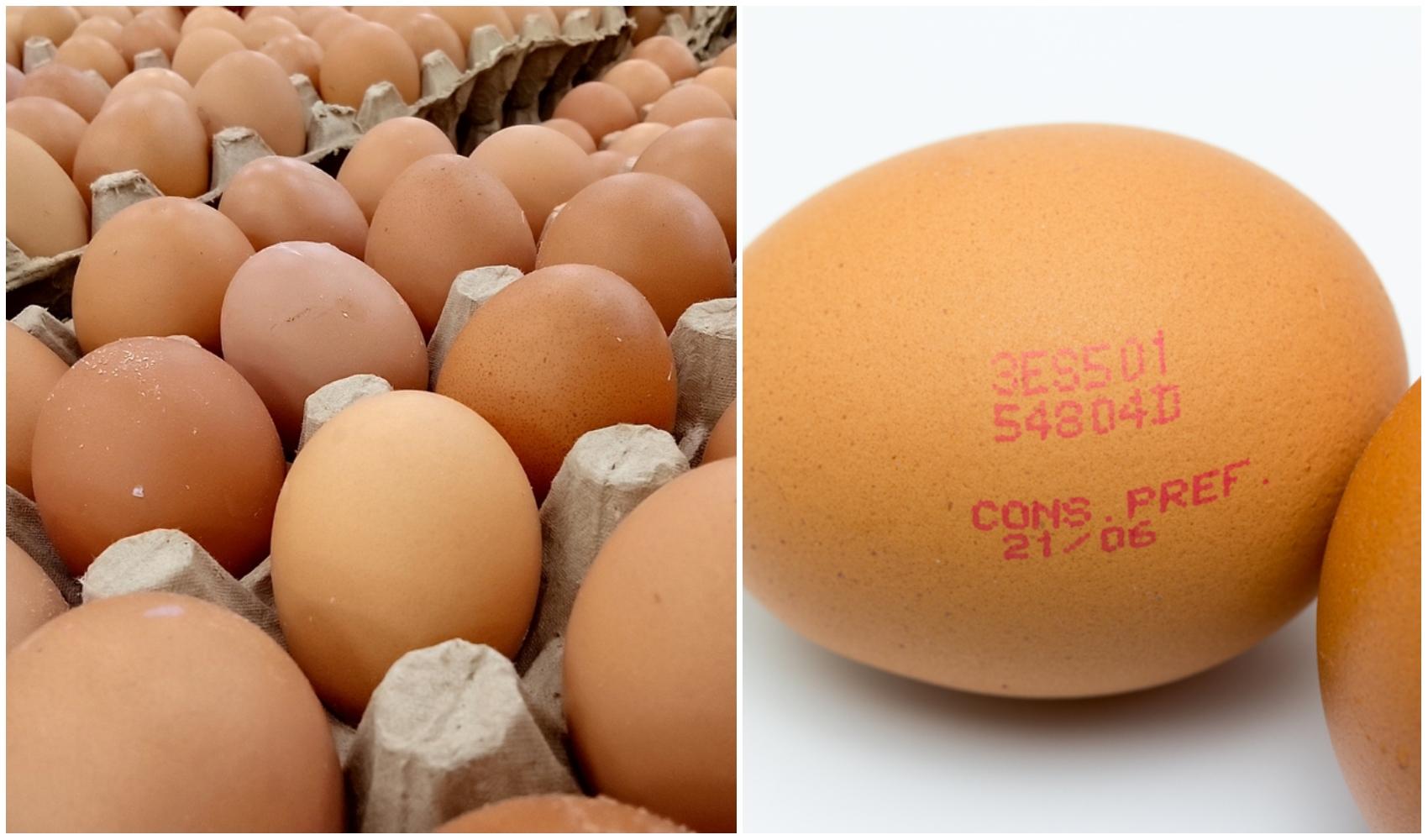 colaj foto cu oua in cofraj si ou cu termenul de valabilitate pe el