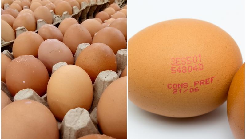 Descoperă dacă poți să mănânci ouă după data de expirare și cum îți dai seama dacă alimentul este încă bun de consumat.