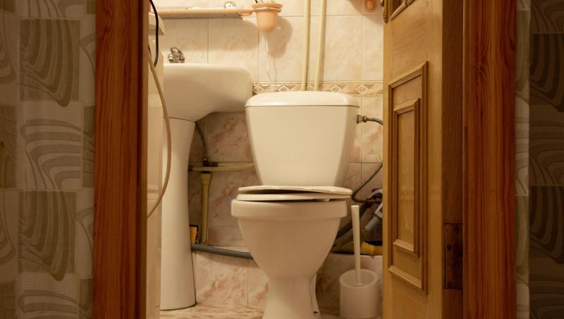 O femeie a vrut să meargă la baie, dar s-a speriat atunci când a văzut ce a descoperit în vasul de toaletă. Peste ce a dat
