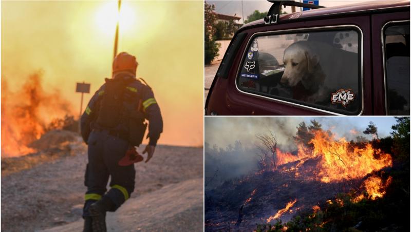 imagini cu incendiile de vegetatie din grecia