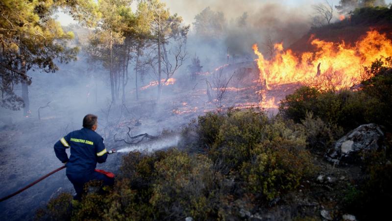 Pompierii români, adevărați eroi în Grecia. Imaginile înduioșătoare cu animalele salvate din flăcări | FOTO