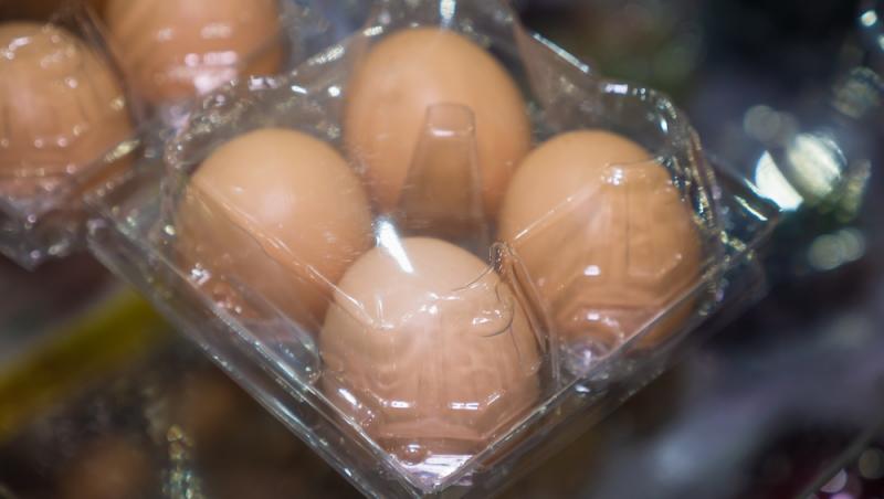 O tânără a găsit în frigiderul bunicii ouă congelate în urmă cu 25 de ani. Ce a descoperit când a deschis casoleta din 1998
