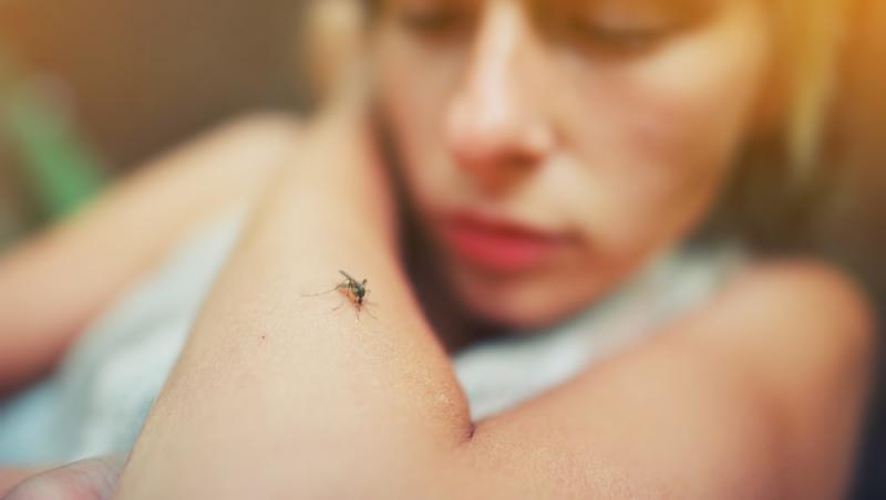 Cum faci mușcătura de țânțar să dispară în doar câteva minute. Ai în casă tot ce ai nevoie