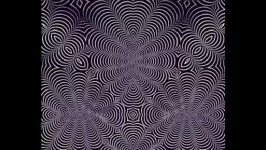 Iluzie optică virală. Ce animal poți vedea în imagine?