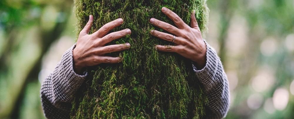 mâini care îmbrățișează un trunchi de copac