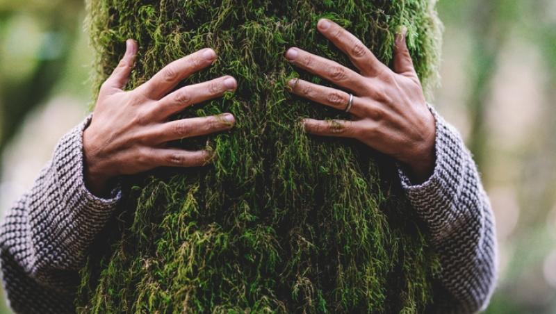 mâini care îmbrățișează un trunchi de copac