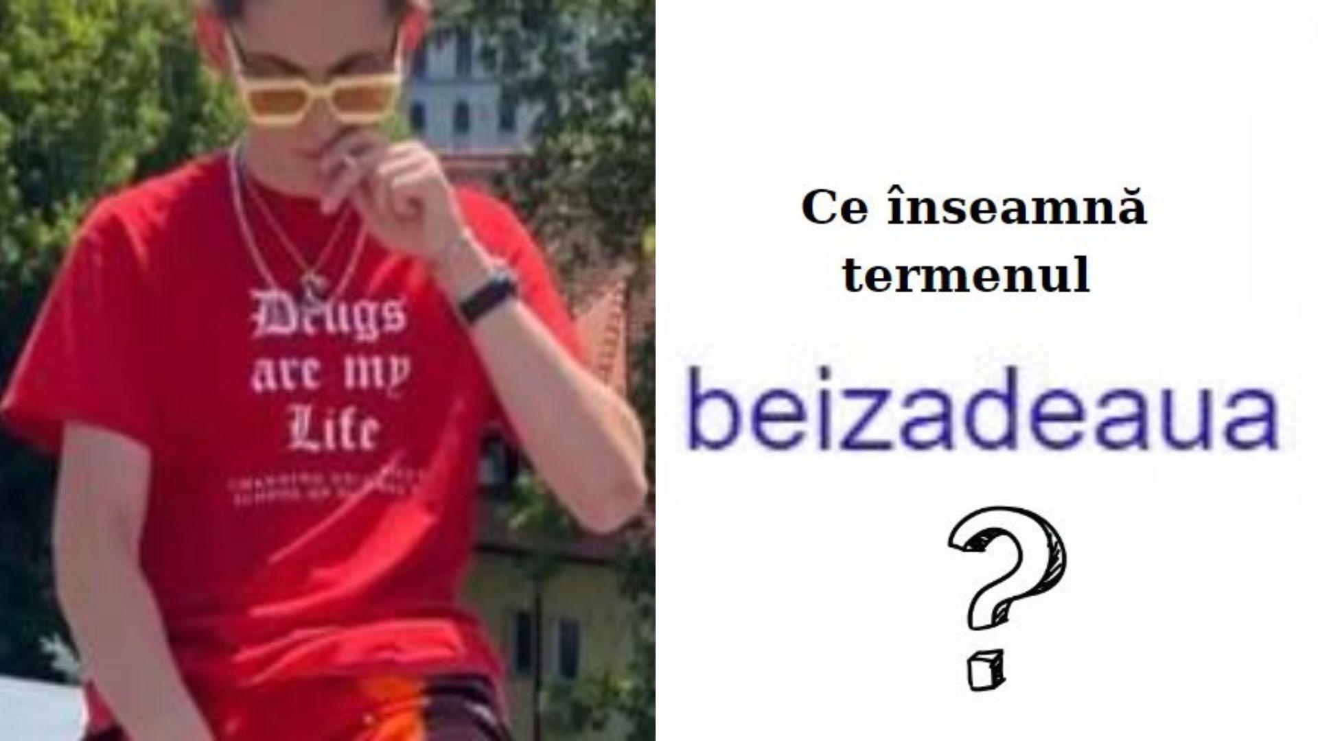 colaj de imagini cu vlad pascu si termenul beizadea