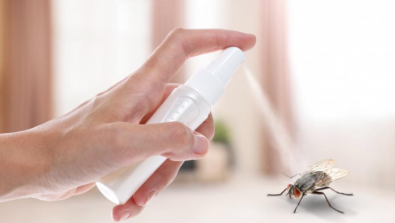 Cum scapi de musculițele din casă și de insecte fără spray-uri chimice. Ingredientele care se găsesc în casa oricui