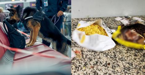 Ce au descoperit autoritățile române în pungile de cereale cărate de două femei, în aeroport. Imediat au fost oprite cele două