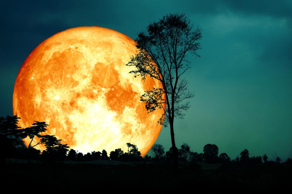 Luna Recoltei din 29 septembrie 2023, ultima superlună din acest an. Cum sunt afectate zodiile de luna plină în Berbec