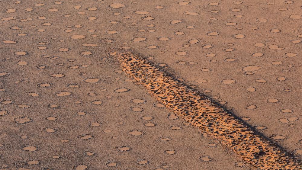 imagine cu cercuri de zâne in deșertul din namibia