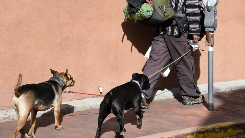 Un om al străzii a uimit numeroase persoane cu gestul pe care l-a făcut pentru câinele său