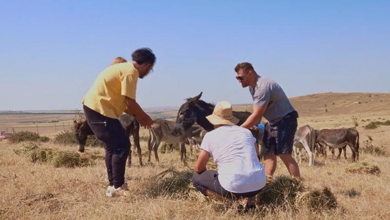 Poftiți pe la noi: Poftiți în Dobrogea, 10 ianuarie 2024. Nea Marin a mers cu nuiaua după vedete, dar nu se aștepta la ce a urmat