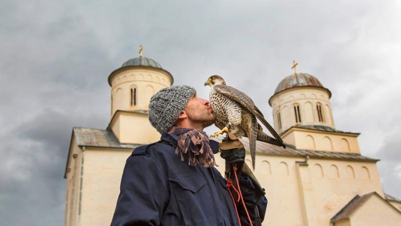 Cea mai periculoasă pasăre din lume a fost zărită în București. Creatura rar întâlnită a fost fotografiată