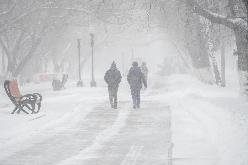 imagine cu doi oameni care se plimba in parcul acoperit de zapada