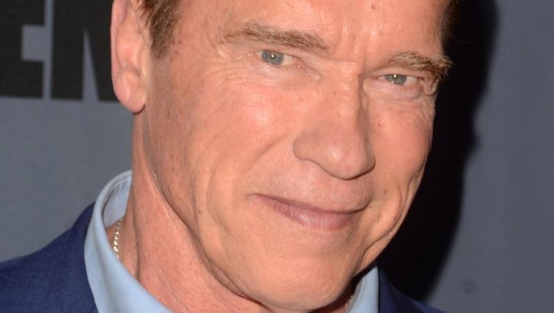 Arnold Schwarzenegger, reținut pe aeroportul din Munchen. Care a fost motivul: „Este valabil pentru toată lumea”