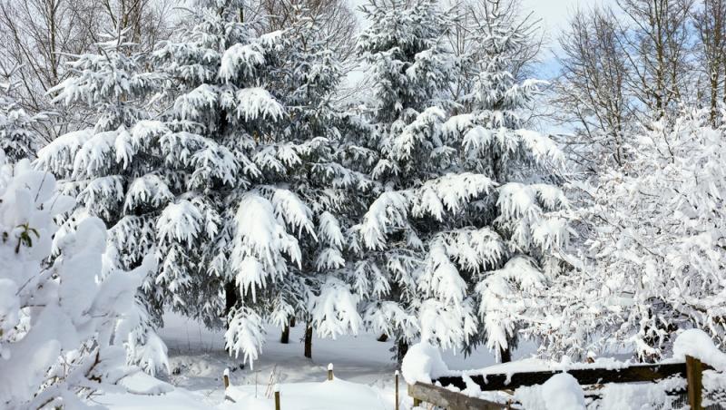 Un nou val de ninsori și ger lovește România începând cu 21 ianuarie 2024. Temperaturile scad până la -17 grade Celsius