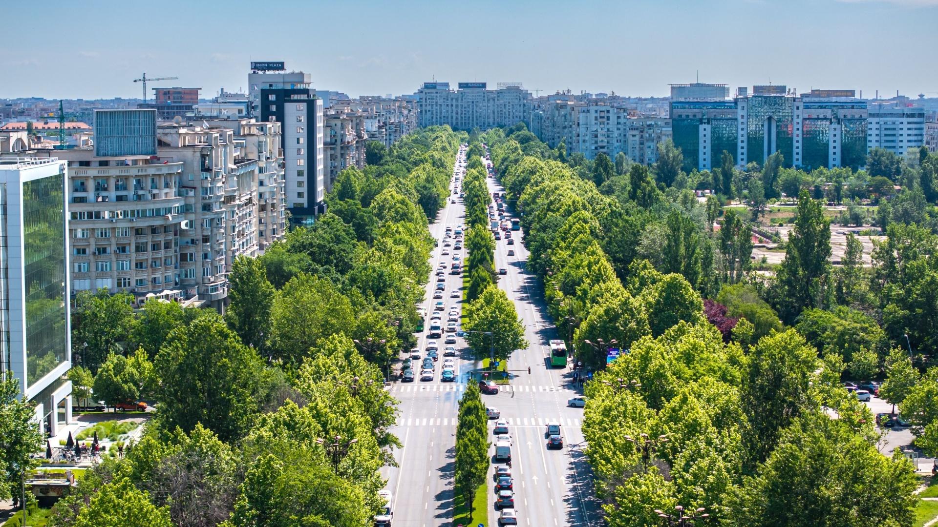 București, clădiri și copaci verzi