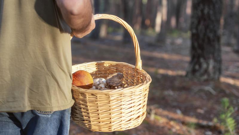 Omul a pozat și a arătat ce a descoperit în pădure