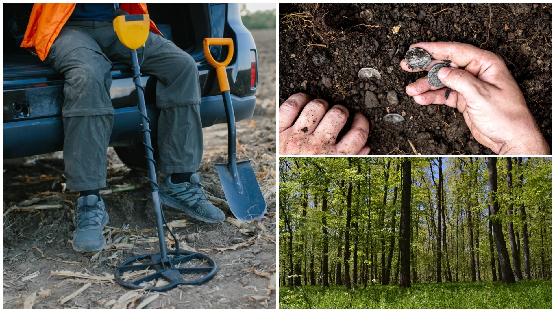 Bărbat echipat du aparatură specială pentru căutat comori, alături de o imagine cu pădure și de o imagine cu monedele găsite