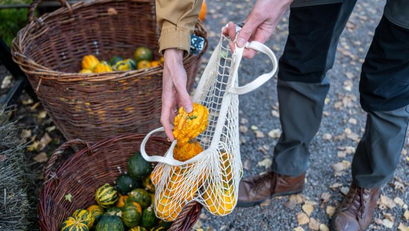 De ce se dau dulciuri de Halloween. Tradiția e răspândită în mai multe colțuri ale lumii