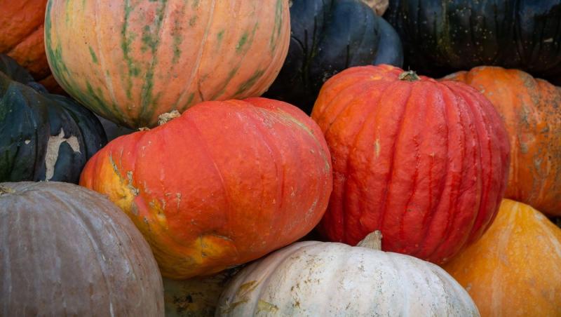 De ce se dau dulciuri de Halloween. Tradiția e răspândită în mai multe colțuri ale lumii