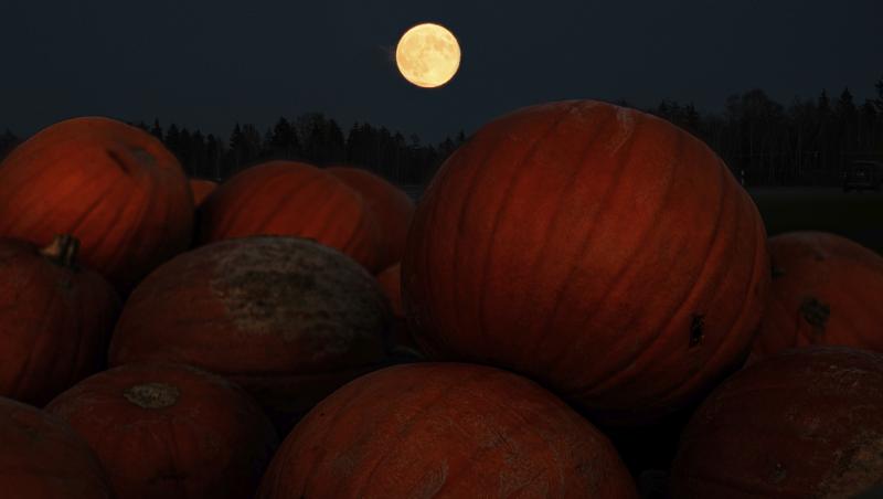 De ce se dau dulciuri de Halloween. Tradiția e răspândită în mai multe colțuri ale lumii