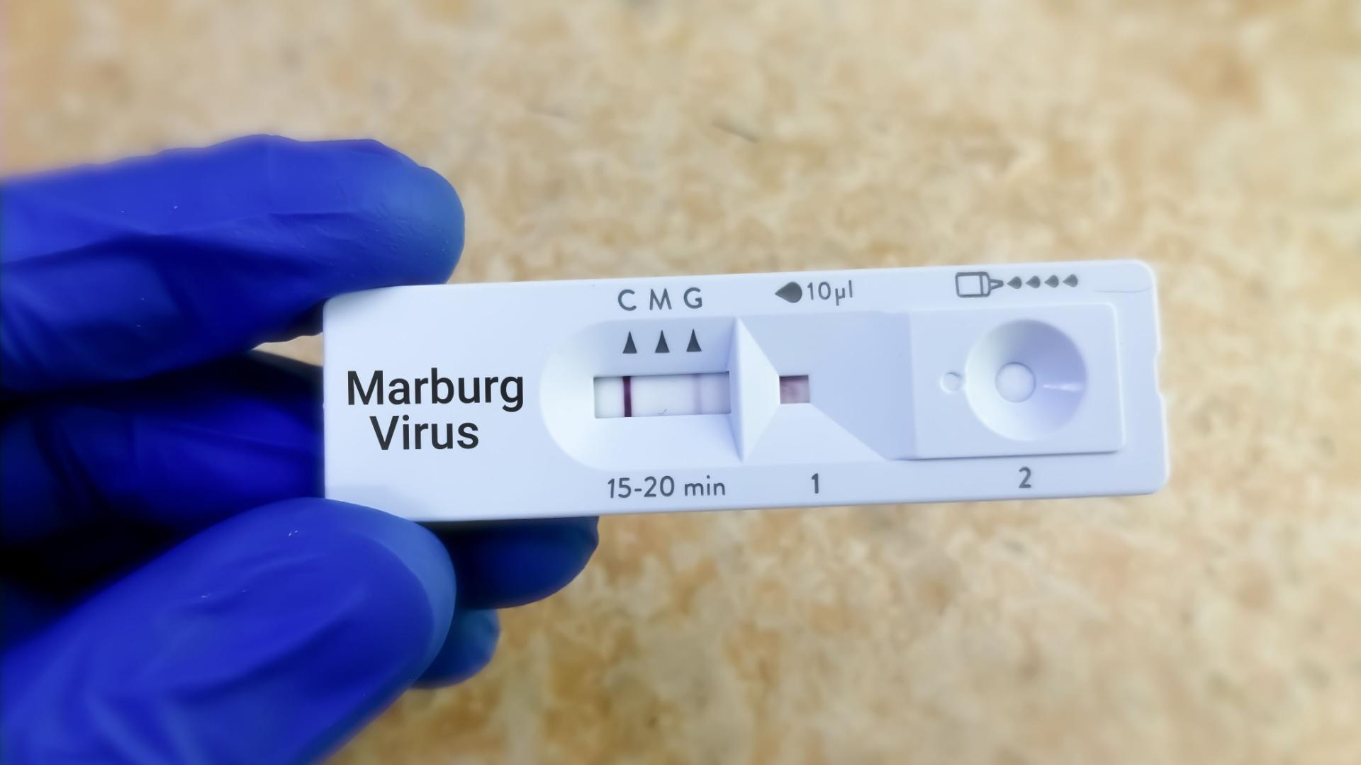 Test virus Marburg