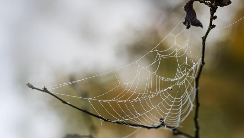 Ce sărbătoare românească se aseamănă Halloweenului occidental. Care sunt tradițiile și obiceiurile respectate atunci