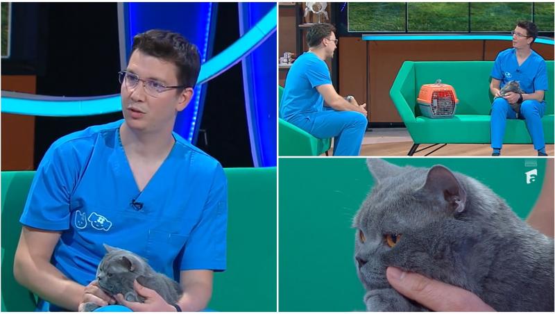 Mihail Pautov, alături de invitatul său, Alexandru, medic veterinar, ne explică cum putem să prevenim infecțiile provocate de animalele de companie.