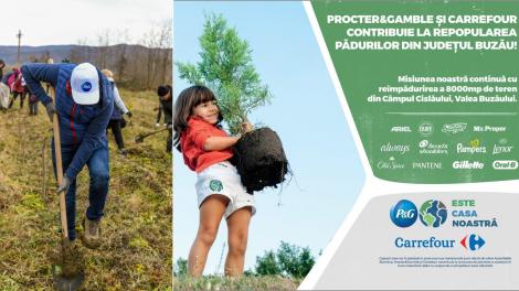 (P) Peste 600 de copaci plantați de voluntarii P&G și Carrefour România pe Valea Buzăului