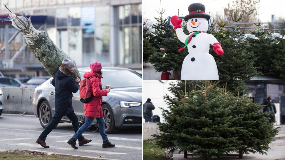 colaj bărbat care cară un brad abia cumpărat, om de zăpadă gonflabil în fața unei piețe de brazi, brazi naturali de vânzare