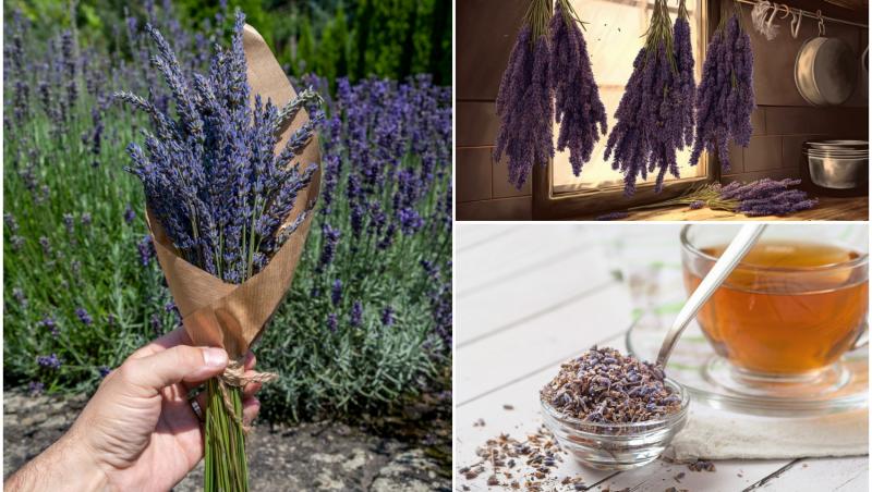 colaj foto cu imagini cu flori de lavanda folosite pentru dulceata