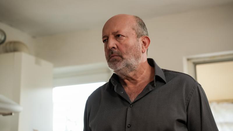 Iubire cu parfum de lavandă, rezumat episoade 38, 39 și 40, 20 decembrie 2024. Anda, bulversată! Soțul ei, Albert, a găsit-o