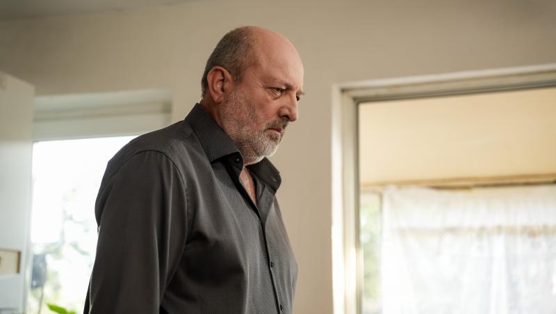 Iubire cu parfum de lavandă, rezumat episoade 38, 39 și 40, 20 decembrie 2024. Anda, bulversată! Soțul ei, Albert, a găsit-o