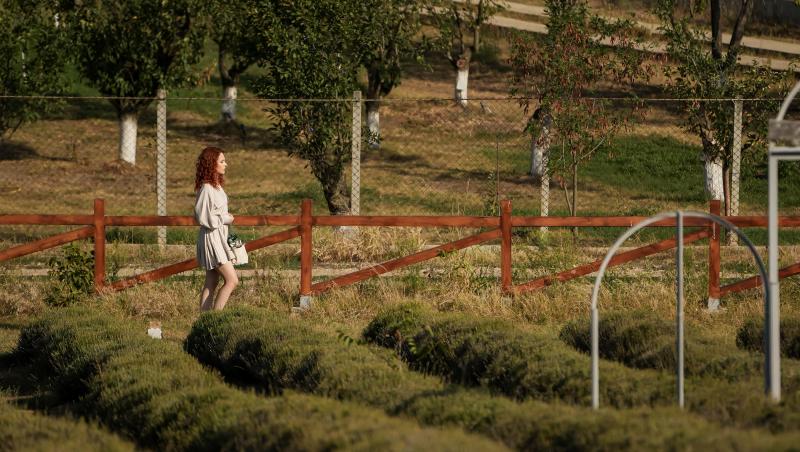 Iubire cu parfum de lavandă, rezumat episoade 38, 39 și 40, 20 decembrie 2024. Anda, bulversată! Soțul ei, Albert, a găsit-o