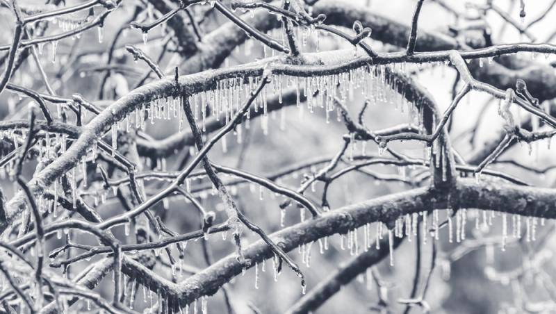 Alertă meteo! „Freezing Rain” în București. Alerta intră în vigoare de mâine. Ce sfaturi oferă meteorologii