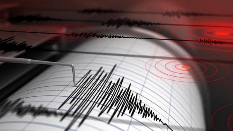 imagine cu inregistrarea unui cutremur