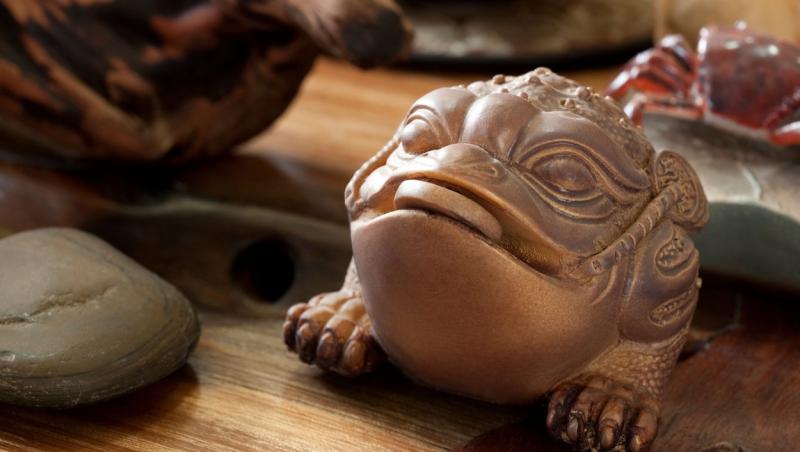 Un bărbat a primit cadou de la mama lui o broască „urâtă” din ceramică. Ce „secret” uriaș ascundea obiectul. Omul a rămas mască