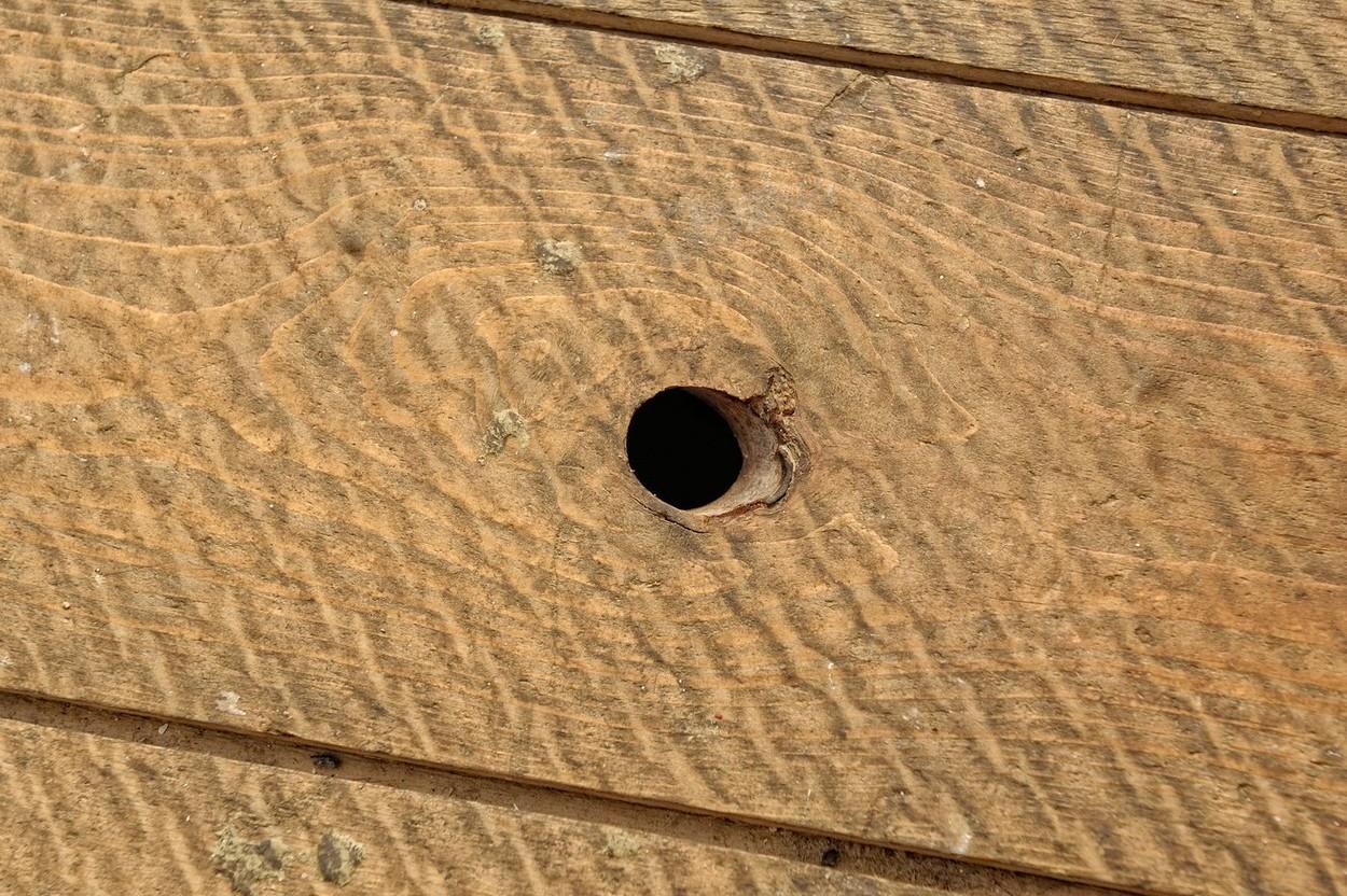 Un bărbat a văzut că a apărut o gaură în parchet și ceea ce a descoperit în interior l-a lăsat fără cuvinte. Peste ce a dat