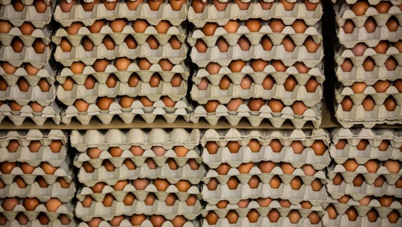 Ce înseamnă codul de pe ouăle din magazine. La ce să fii atent când le cumperi