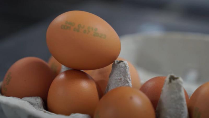Ce înseamnă codul de pe ouăle din magazine. La ce să fii atent când le cumperi