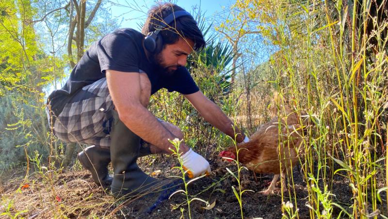 Un bărbat din Turcia care și-a urmărit găinile în încercare de a afla unde dispar rând pe rând, a afăcut o descoperie uluitoare în subteran