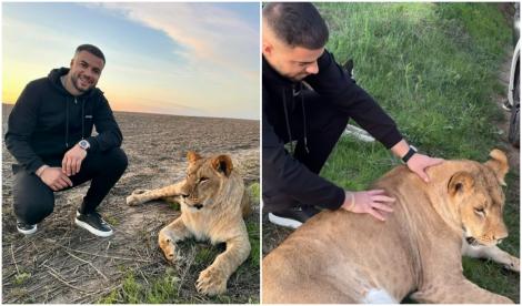 Culiță Sterp, atacat de un leu în timp ce îl mângâia. Cum s-a filmat cu animalul sălbatic pe un câmp la granița cu România