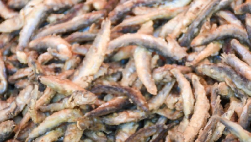 Care va fi prețul hamsiilor de pe litoralul românesc în vacanța de paște. Românii nu renunța la preparatul consacrat de la mare