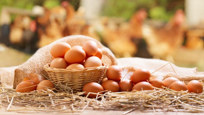 Cât au ajuns să coste ouăle cu doar câteva zile înainte de Paște: „Diferența de preț nu este justificată”