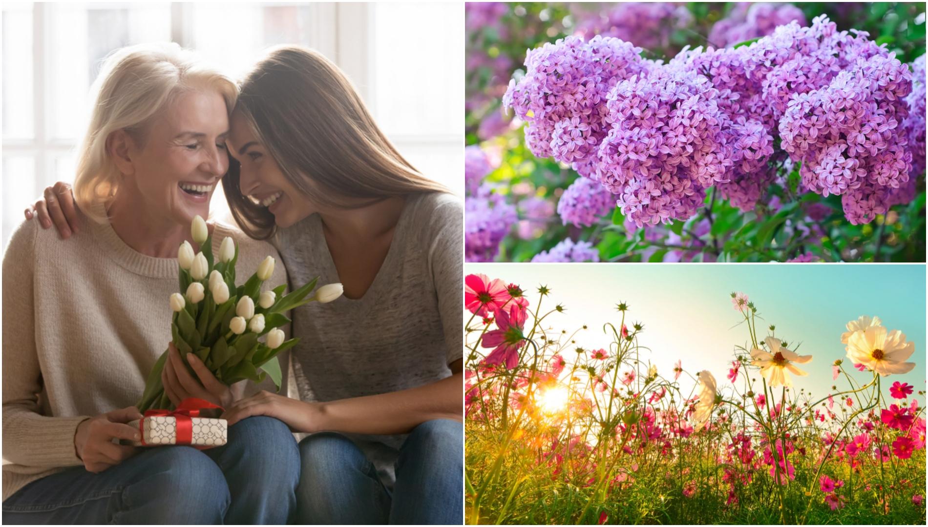 colaj foto doua femei si flori de primavară